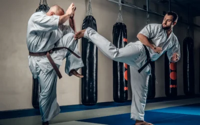 Blog: Why Martial Arts Schools Need Stricter Oversight: The Current Gaps in Regulation and Safety